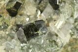 Lustrous Epidote Crystals with Quartz - Peru #287614-1